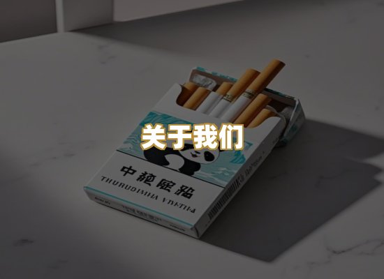 关于我们